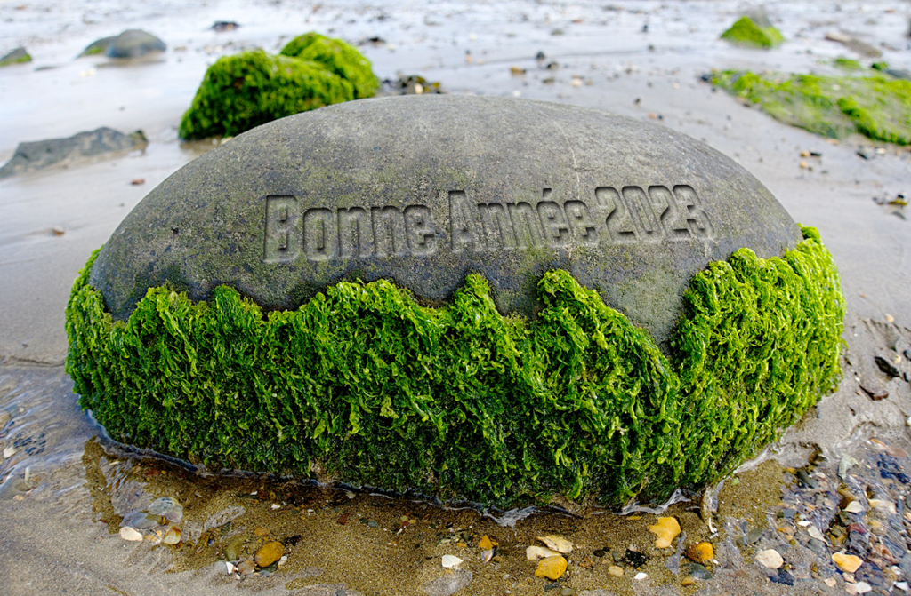 Bonne Année 2023